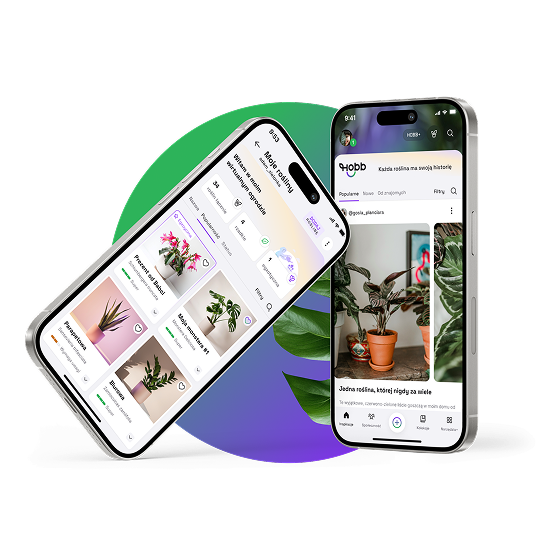 HOBB App Mockup